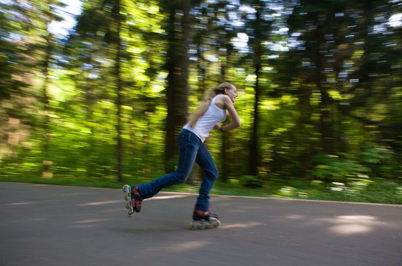 Hradecké lesy – okruhy u Hradce Králové