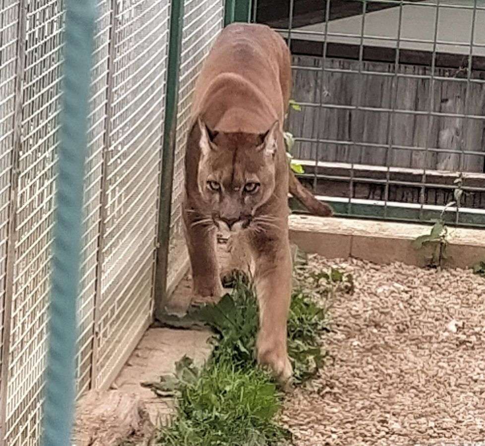Faunapark Lipová-lázně (Horní Lipová)