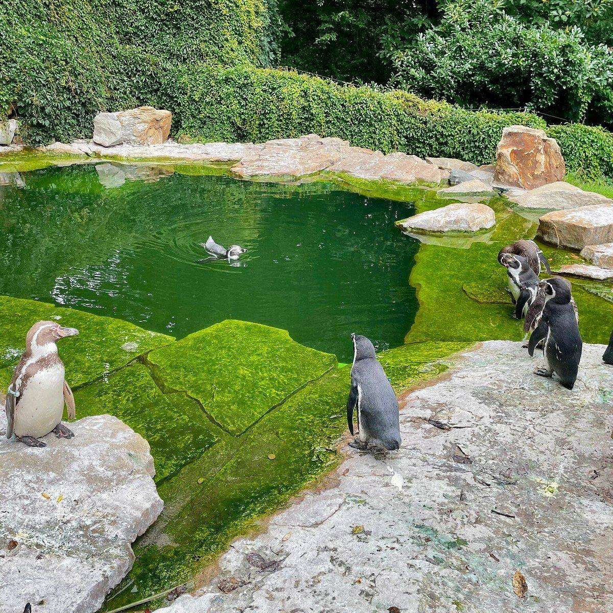 Zoo Zlín (ZOO Lešná)