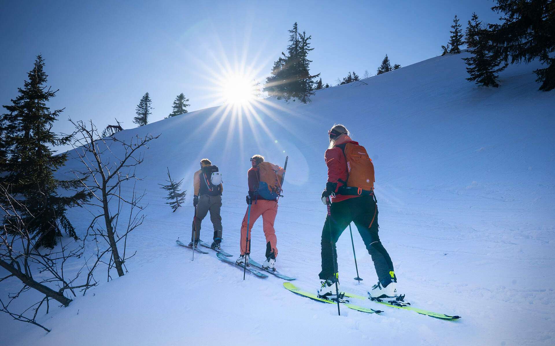 Skialpy v Karlovarském kraji