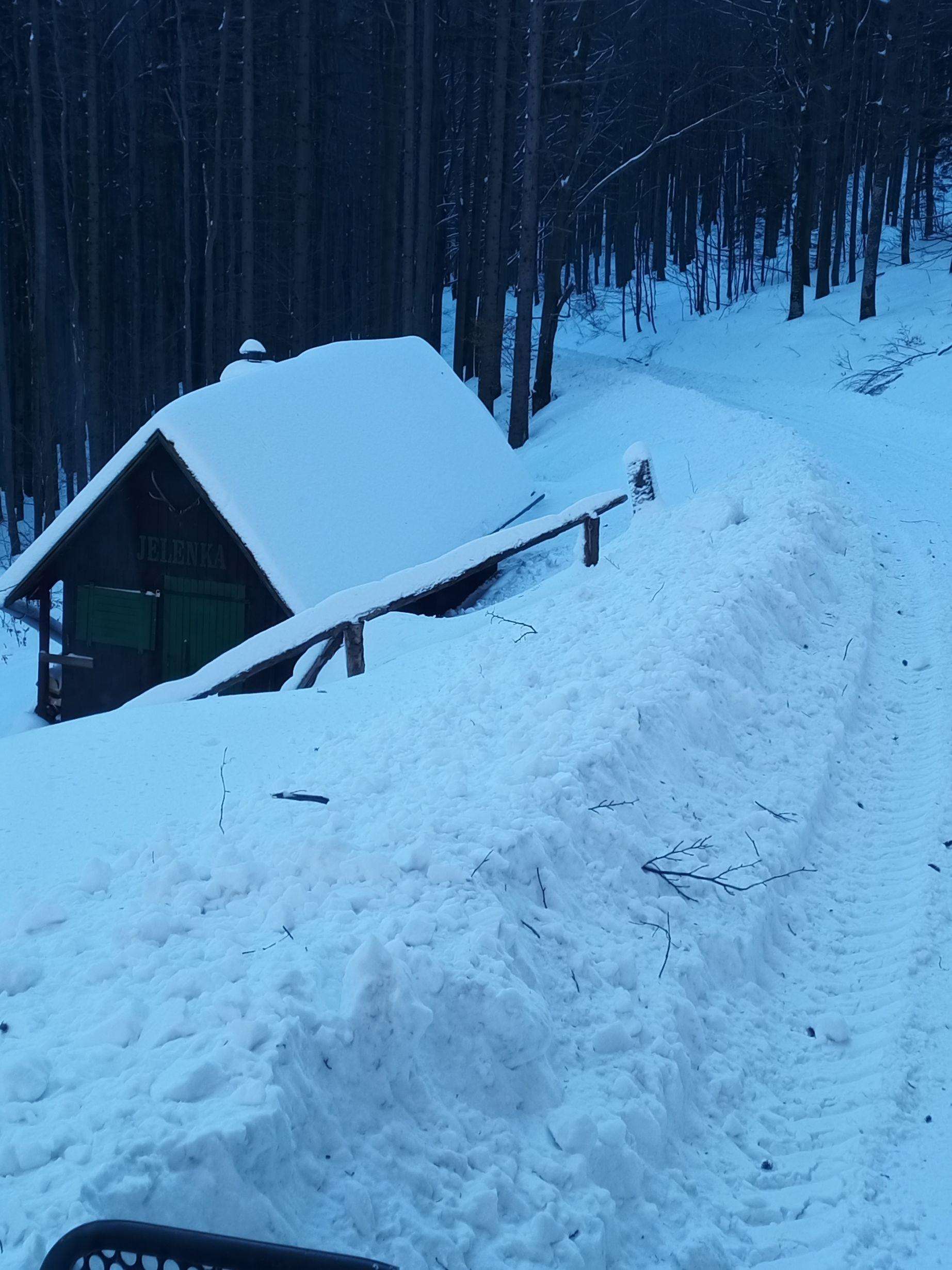 Kolem Jelenky vyhrnuto, zřejmě bude probíhat těžba