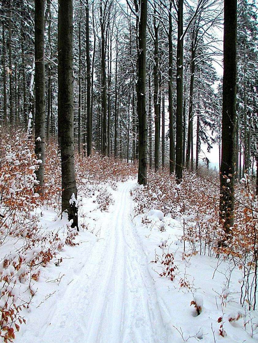 AC Ludvíkov KOLIBA - Sedlová bouda - Karlova Studánka