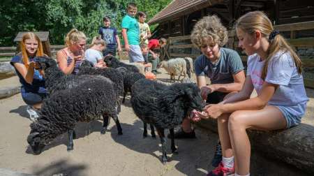 Zvířecí park u Pardubic – Apolenka