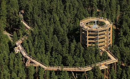 Stezka korunami stromů Krkonoše