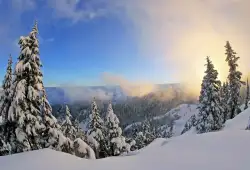 Krušnohorská magistrála