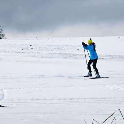 Okruh U lesa - Svratka