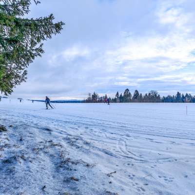Okruh Přední hůra - Svratka