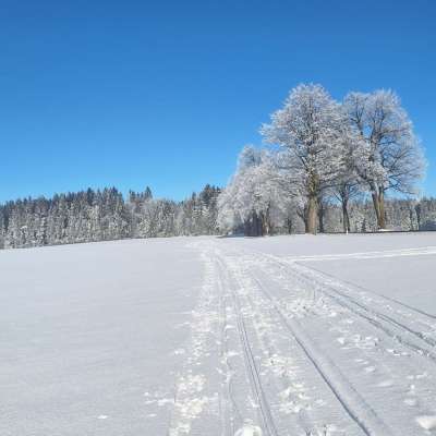 Škrdlovický okruh - Velké Dářko