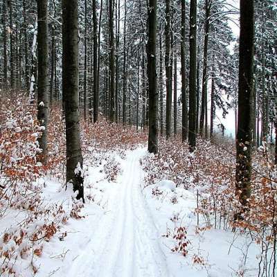AC Ludvíkov KOLIBA - Sedlová bouda - Karlova Studánka