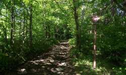 Mineralogická naučná stezka