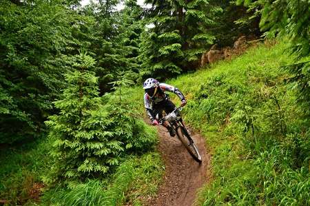 Kouty - Stará medvědice